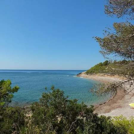 Dorada L'Ametlla de Mar