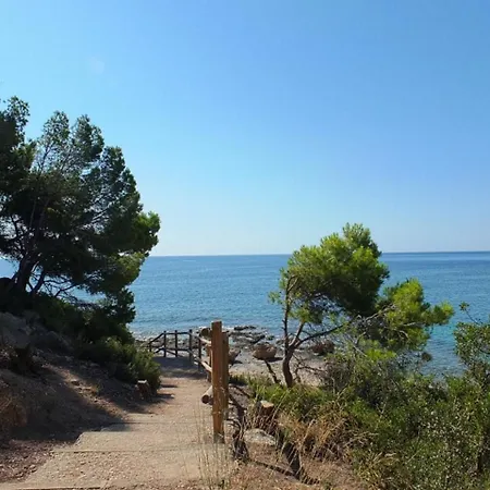 Dorada L'Ametlla de Mar