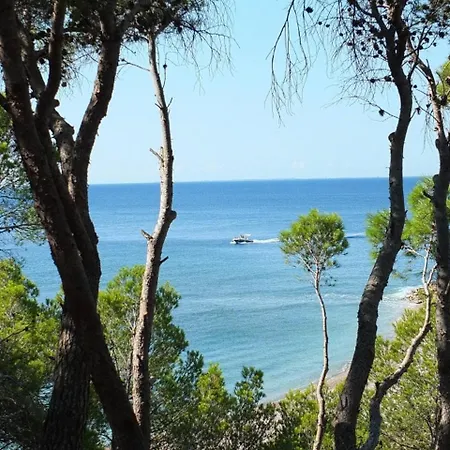 Dorada L'Ametlla de Mar