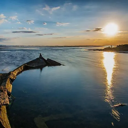 Dorada *